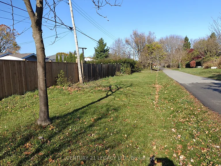 62 Woodelm Dr — Photo 17