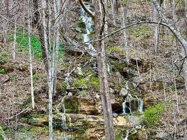 E Rte #219/2, Renick, WV 24966