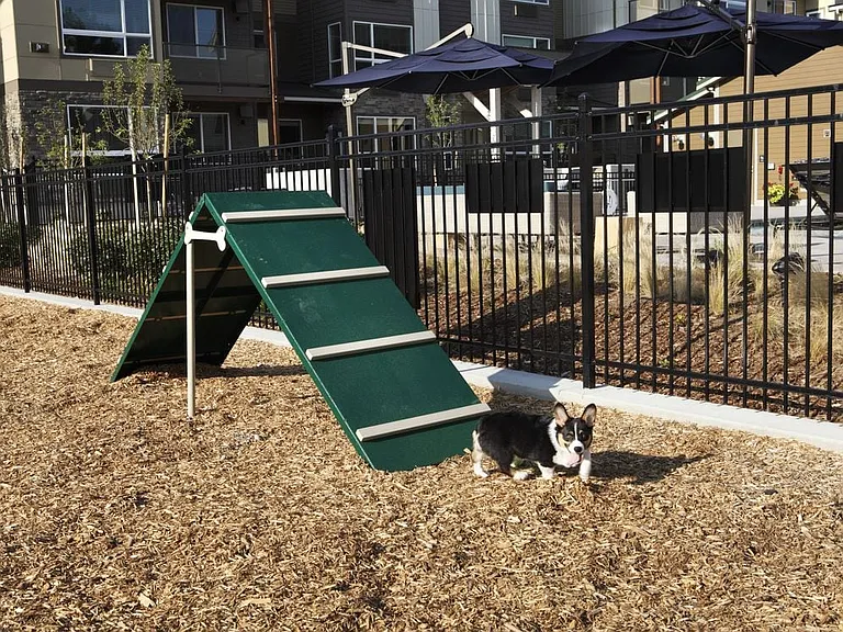 WAG pet park