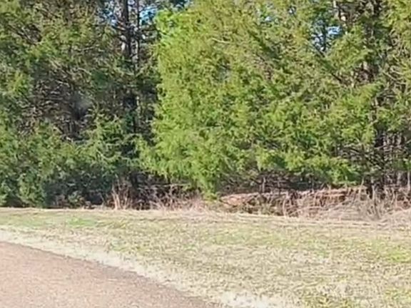 3rd image of 1285 Golf Dr Lot N1285