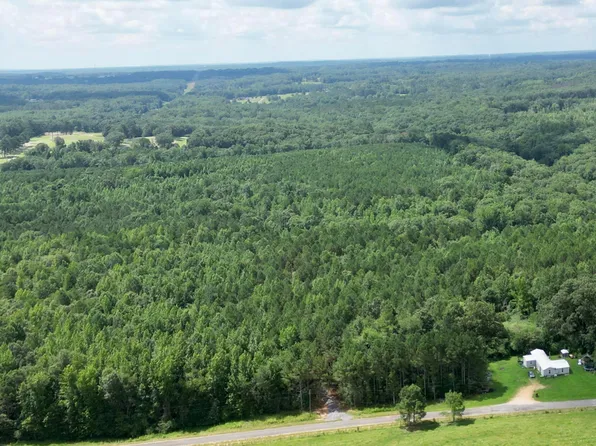0 County Road 54 Parcel 2, Haleyville, AL 35565