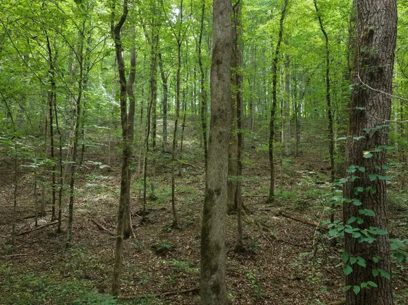 5150 Marsh Creek Rd, Linden, TN 37096