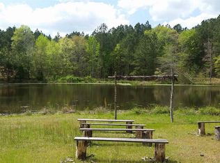 290 Dave Bailey Rd, Flovilla, GA 30216