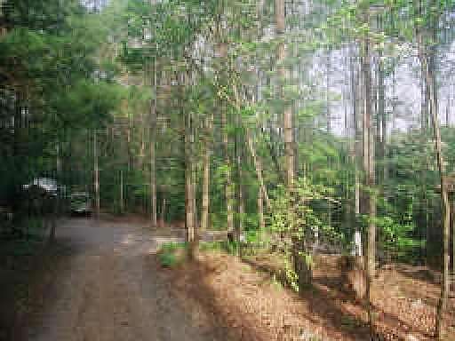 4th image of 1374 Kiutuestia Creek Rd