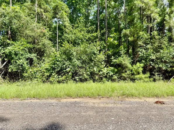 Spring Creek Ln, Coldspring, TX 77331