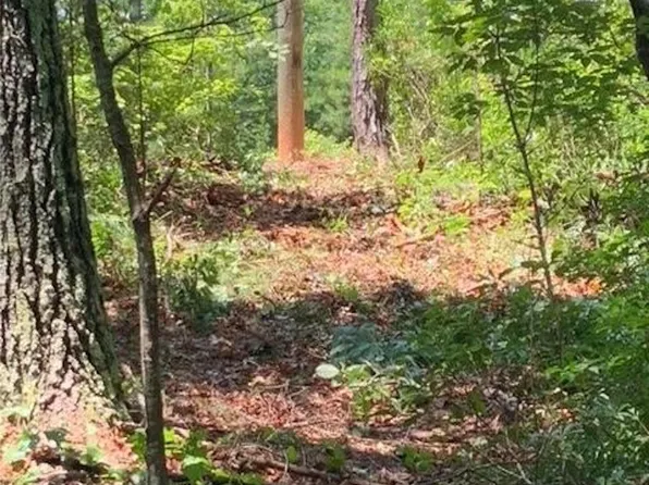 LOT 1 John Wilson Ln, Collettsville, NC 28611