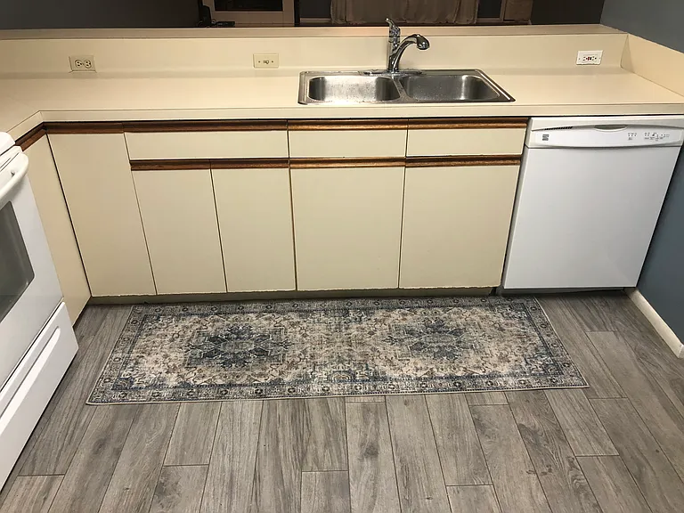 Dishwasher two years old