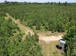 County Road 3206 W, Mount Enterprise, TX 75681