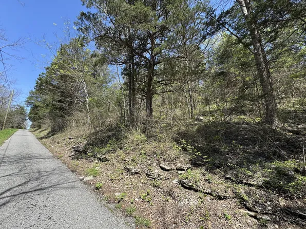 0 Curtis Rd, Watertown, TN 37184