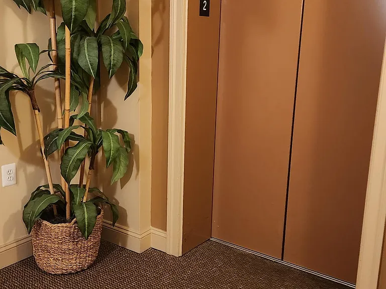 3009 Nicosh Cir #2 — Photo 26