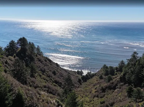 141 E Cove Point, Whitethorn, CA 95589