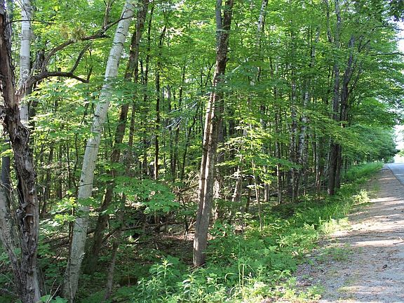 2nd image of 1414 N Gore Rd