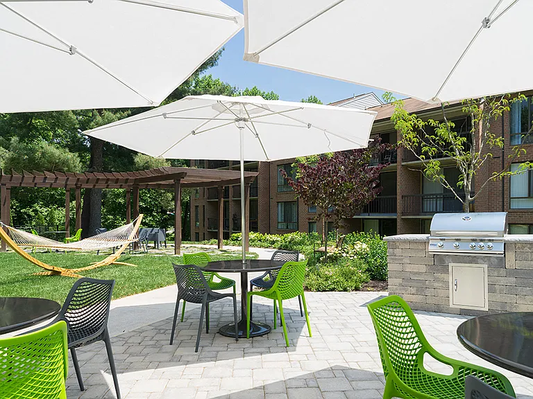 State-of-the-Art Built-In Gas Grilling Station & Picnic Area