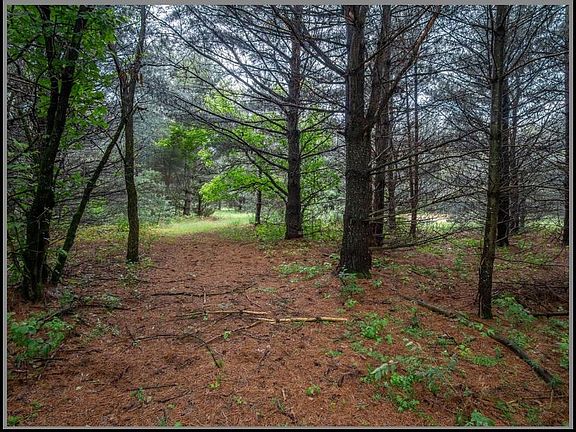 80 acres of woodlands and trails to walk, run, bike, snowmobile, etc (No hunting)