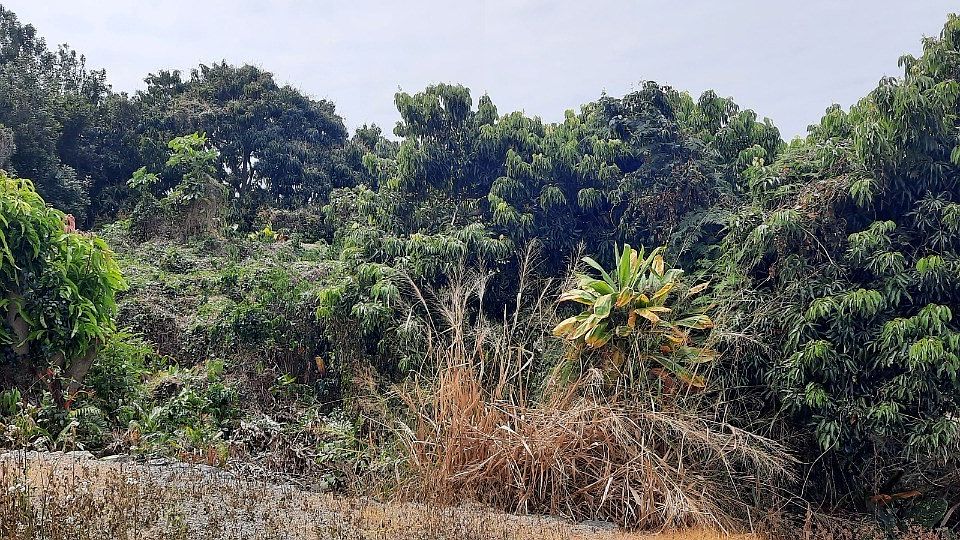 2nd image of Kee Kee St