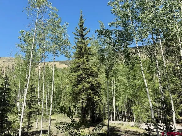 2621 Silver Coin Lane, Lake City, CO 81235