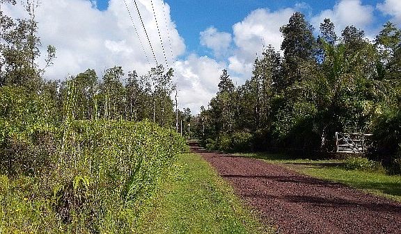 4th image of Plumeria Dr Lot 75