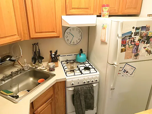 Rented by Rapid Realty Cobble Hill | media 52