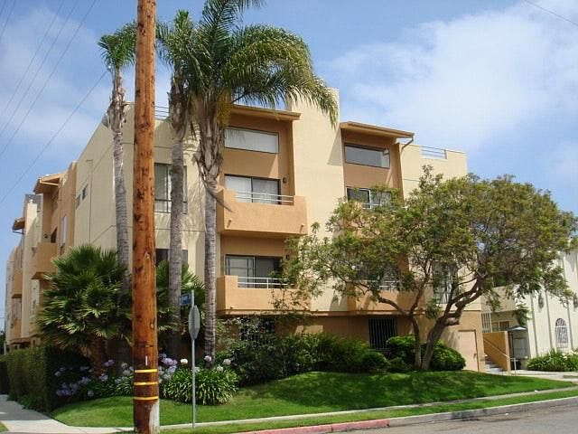 Palm tree lined building