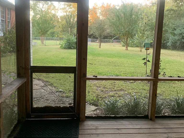 Back yard