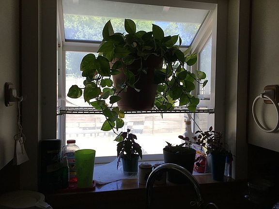 Garden window 