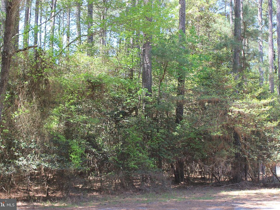 1st image of 497 Driftwood Dr