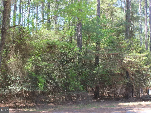 497 Driftwood Dr, Greenbackville, VA 23356