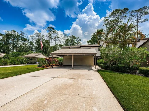 315 Woods Landing Trl, Oldsmar, FL 34677