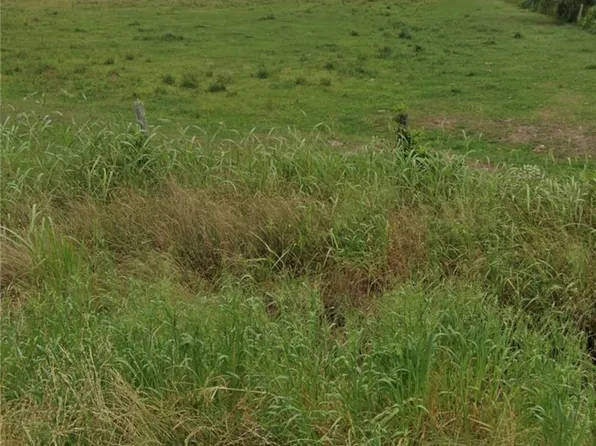 County Road 321, Wharton, TX 77488