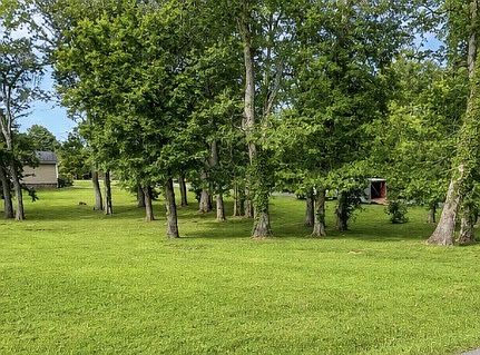 2nd image of 19 Boyd Ave Lot 19