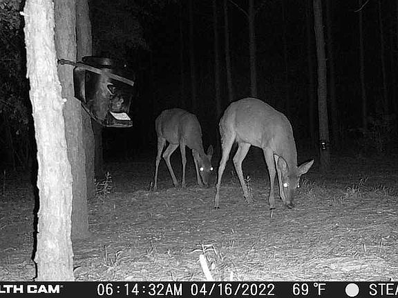 2nd image of 2420 Little Sandy Creek Rd