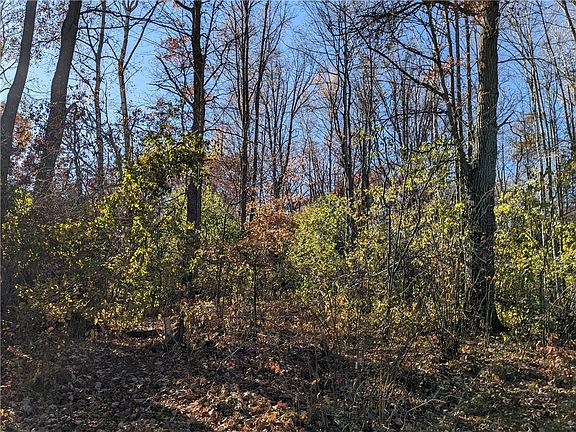 2nd image of Lot 0 Thomas Avenue