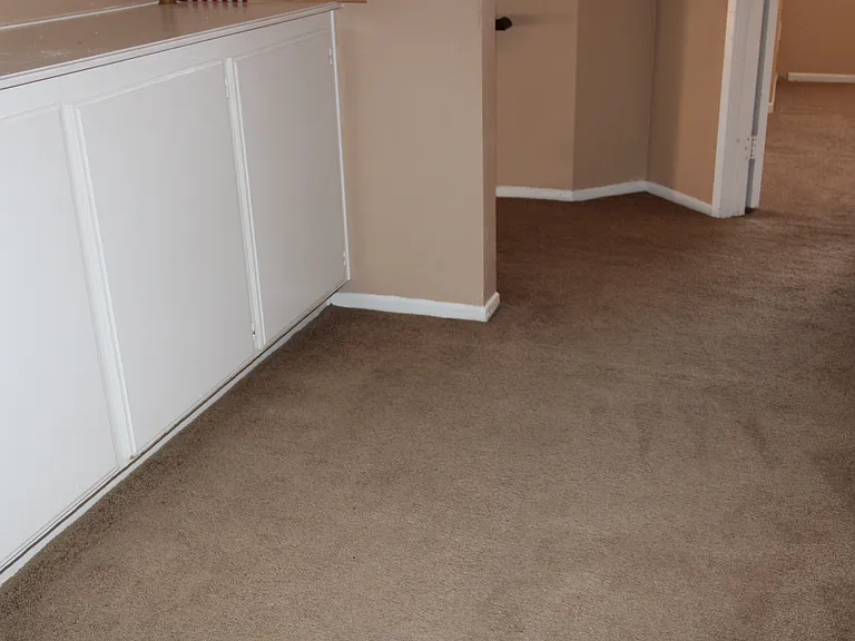 44718 Cerisa St — Photo 31