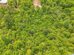 0 Moreland Rd #1, Brierfield, AL 35035