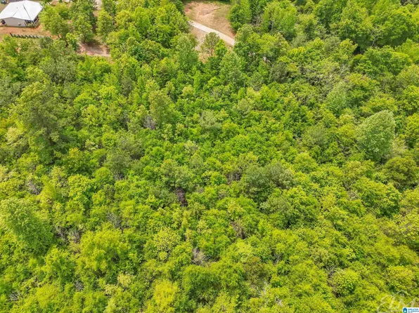 0 Moreland Rd #1, Brierfield, AL 35035