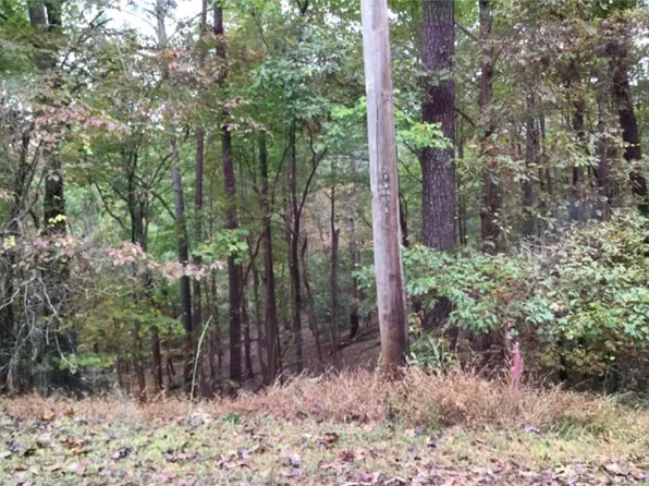 57 Acacia Ct, Ellijay, GA 30540