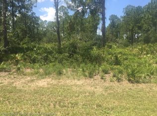 20 S Riverdale Rd, Avon Park, FL 33825