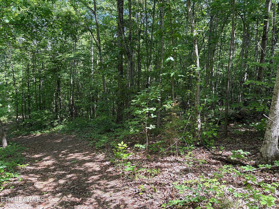 2nd image of Tallent Ln