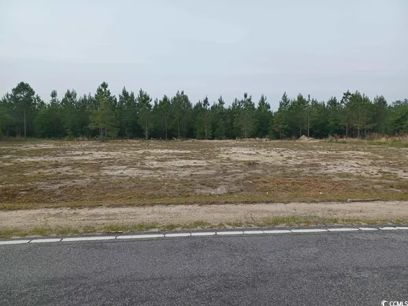 lot 13 Harper Rd., Marion, SC 29571