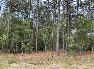 LOT 8 SW 137th Court Rd LOT 8, Ocala, FL 34481