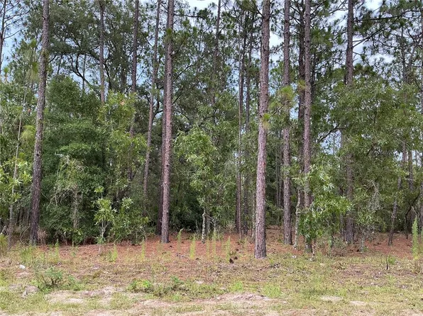 LOT 8 SW 137th Court Rd Lot 8, Ocala, FL 34481