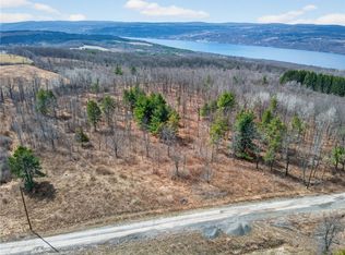 Satterly Hill Rd LOT 12, Burdett, NY 14818