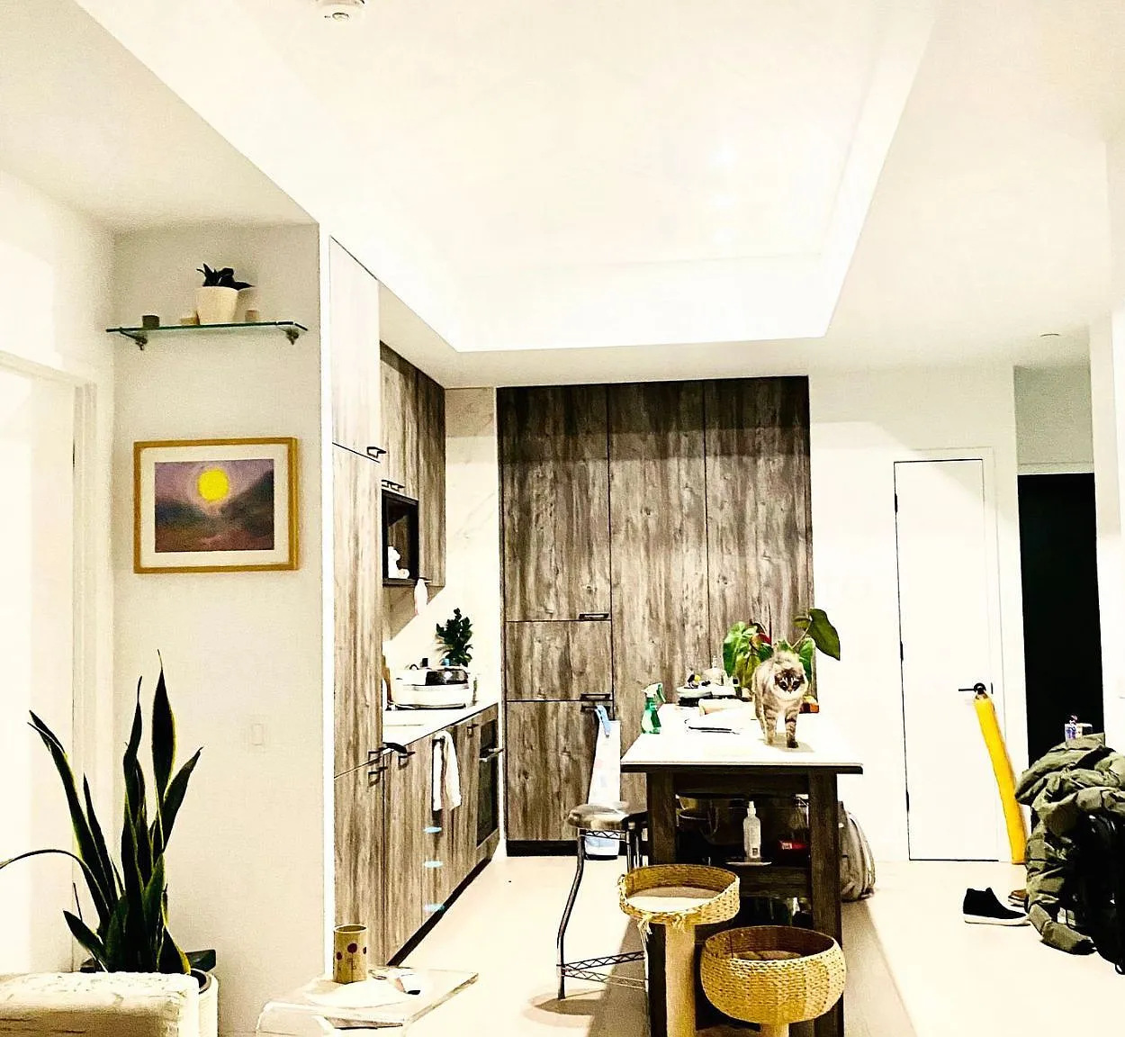 2 bed, $4,100 — Photo 4