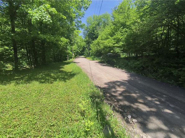 216 Claude Neer Road, Fremont Center, NY 12736