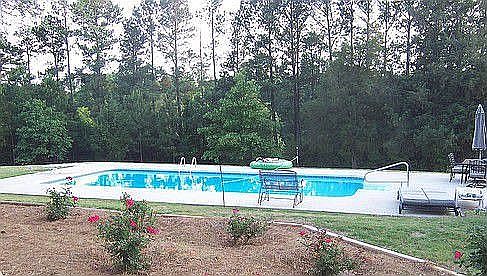 pool & rose bushes 