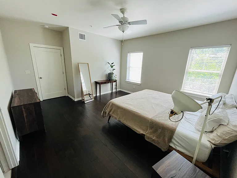Master bedroom - canopy view