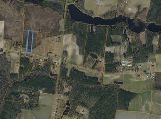 Joyner Swamp Rd LOT 2, Galivants Ferry, SC 29544