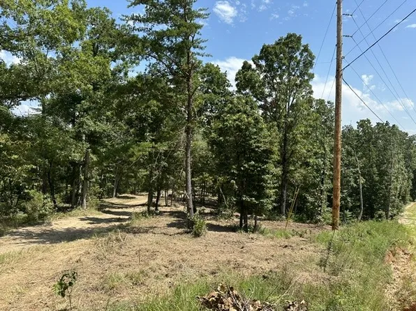 795 Bear Creek Rd, Waverly, TN 37185