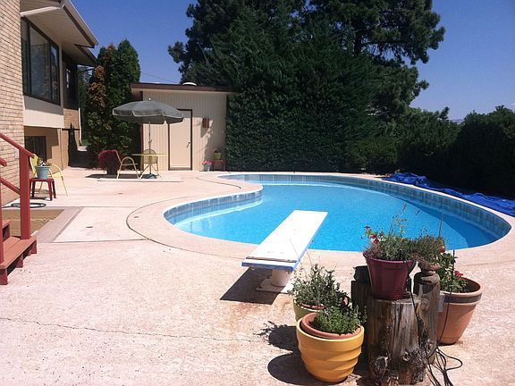 Diving Board