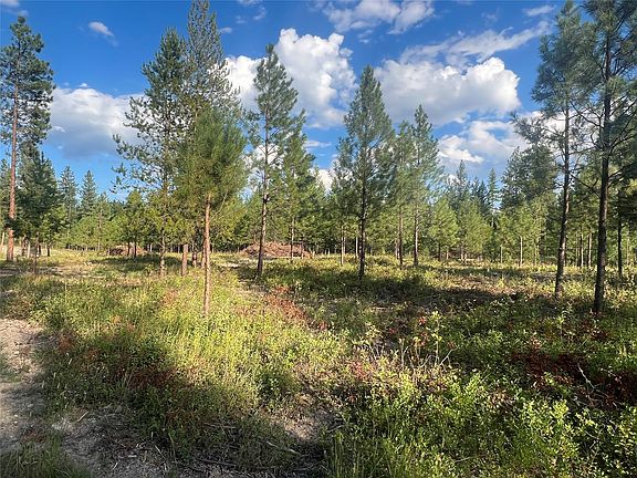 5th image of Granite Lake Rd #2